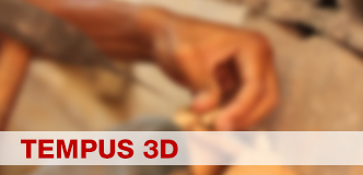 tempus3d